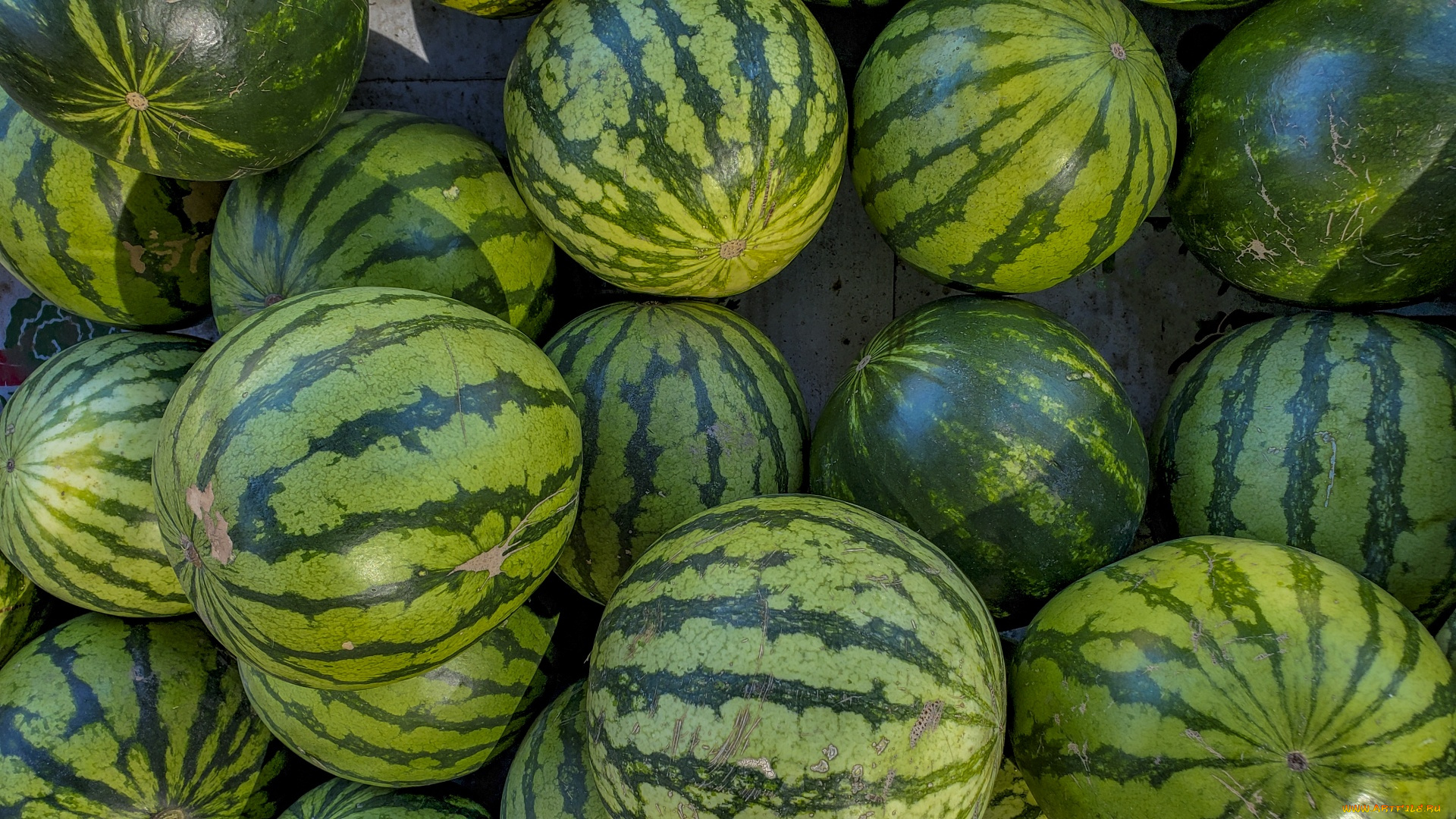 еда, арбуз, полосатые, арбузы, много