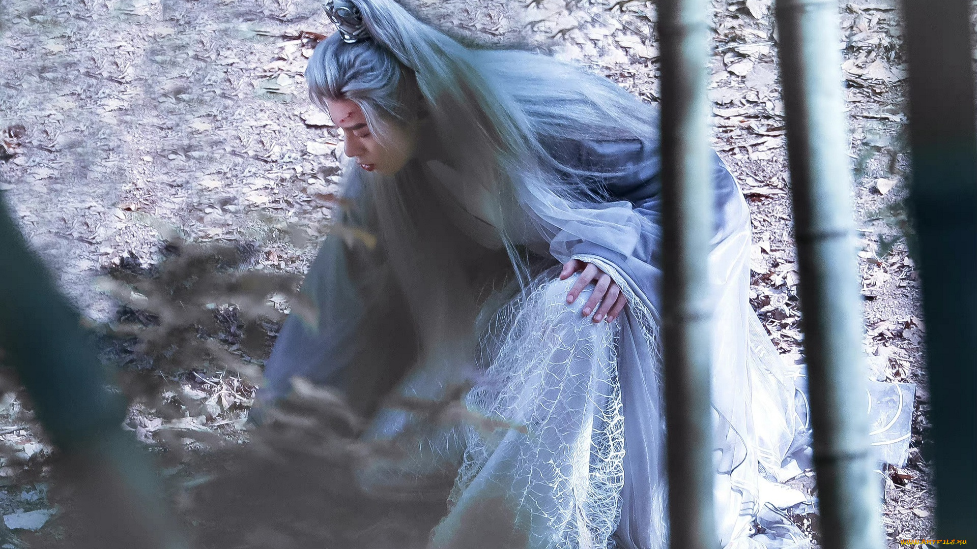 miss, the, dragon, |, yu, long, кино, фильмы, miss, the, dragon, повстечавшая, дракона