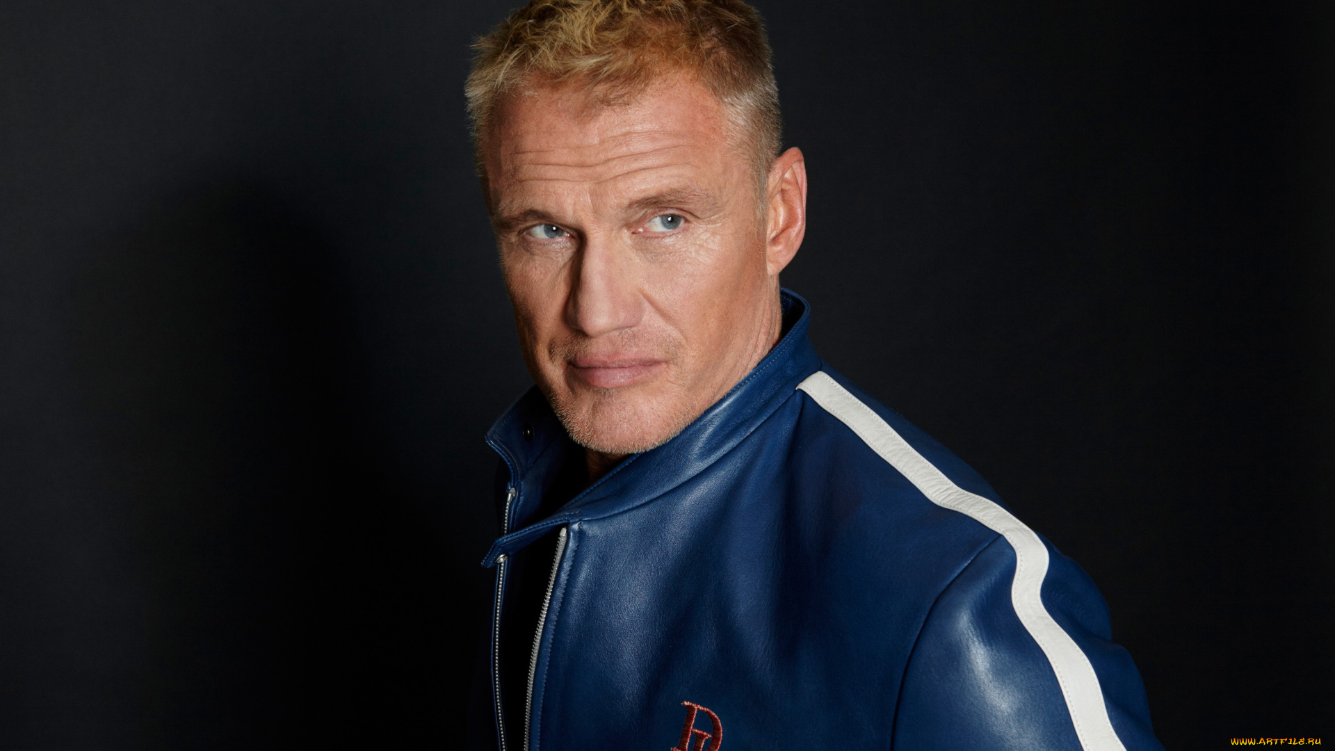 мужчины, dolph, lundgren, актер, лицо, куртка