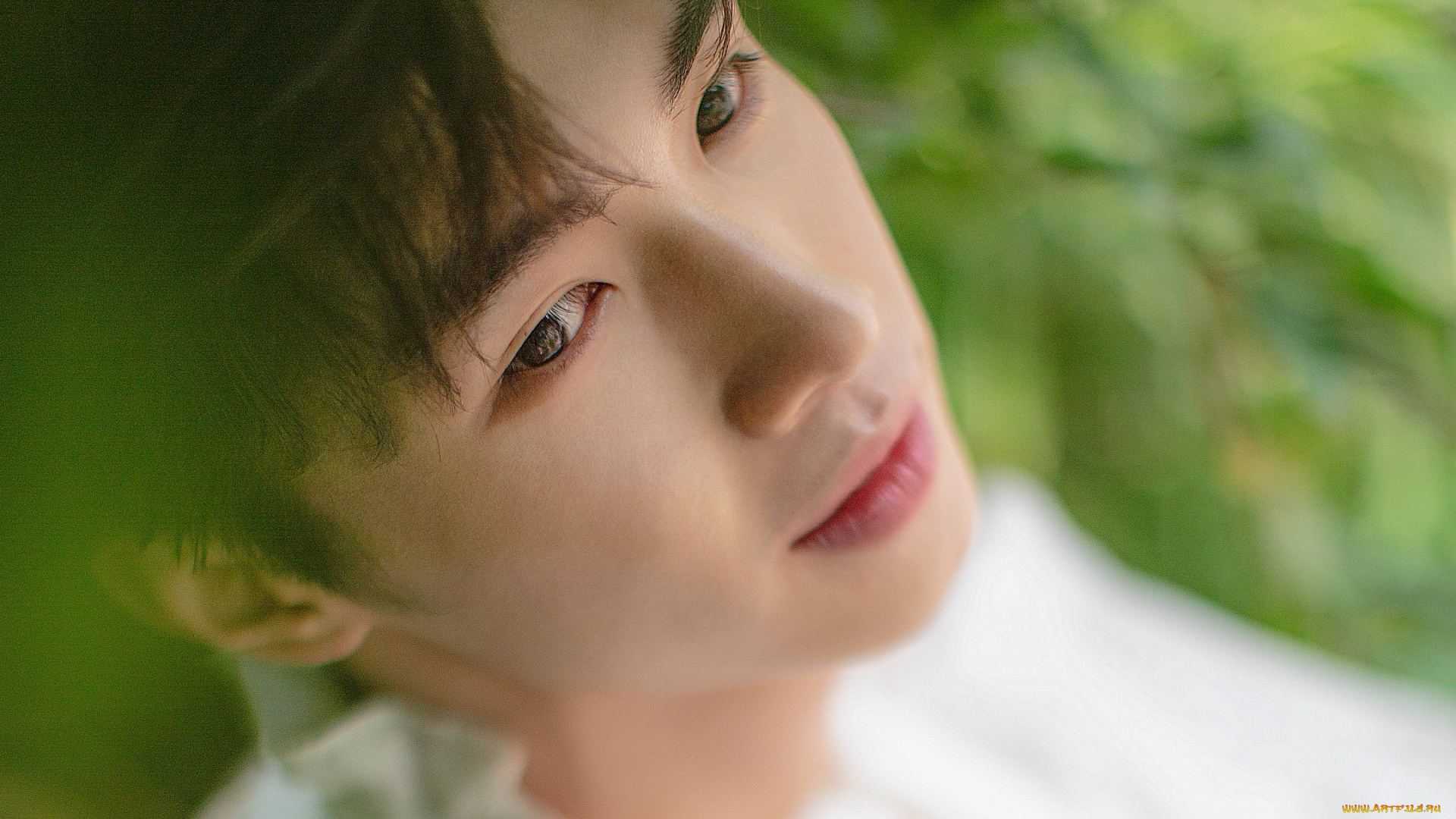 мужчины, song, ji, yang, сун, цзиян, китайский, актёр, певец