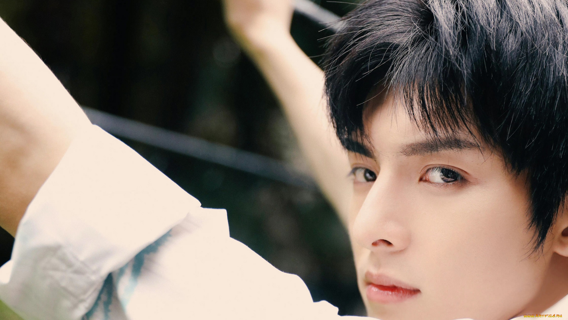 мужчины, wang, hao, xuan, ван, хаосюань, wang, hao, xuan