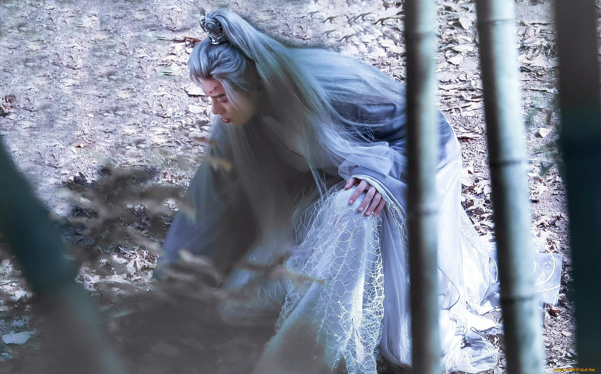 miss, the, dragon, |, yu, long, кино, фильмы, miss, the, dragon, повстечавшая, дракона