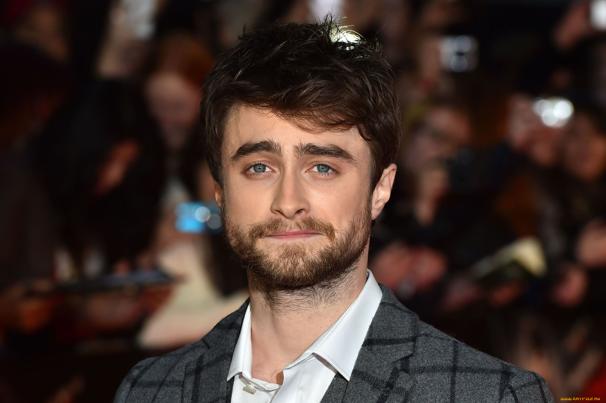 мужчины, daniel, radcliffe, актер, лицо, борода