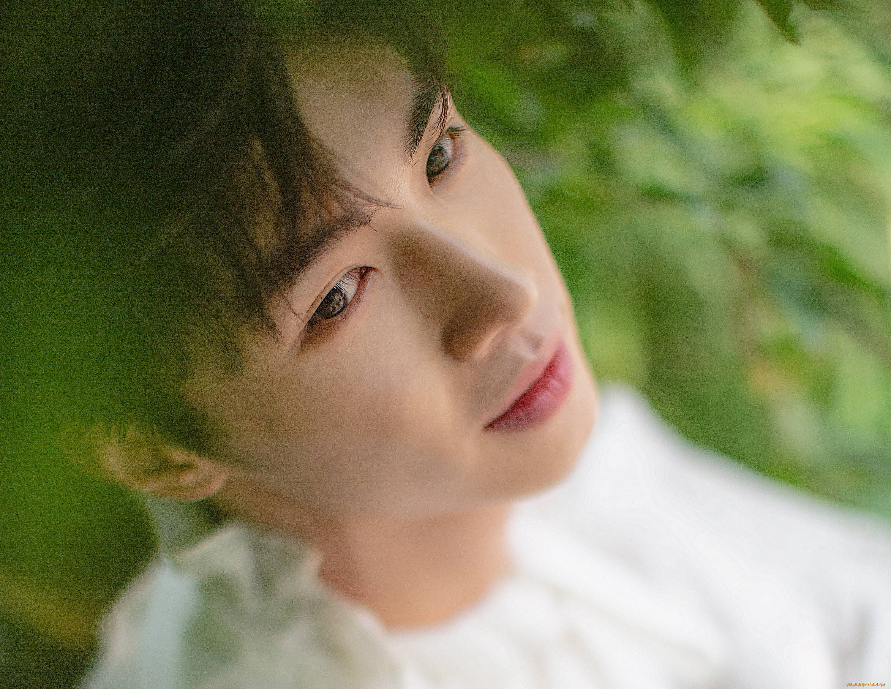 мужчины, song, ji, yang, сун, цзиян, китайский, актёр, певец