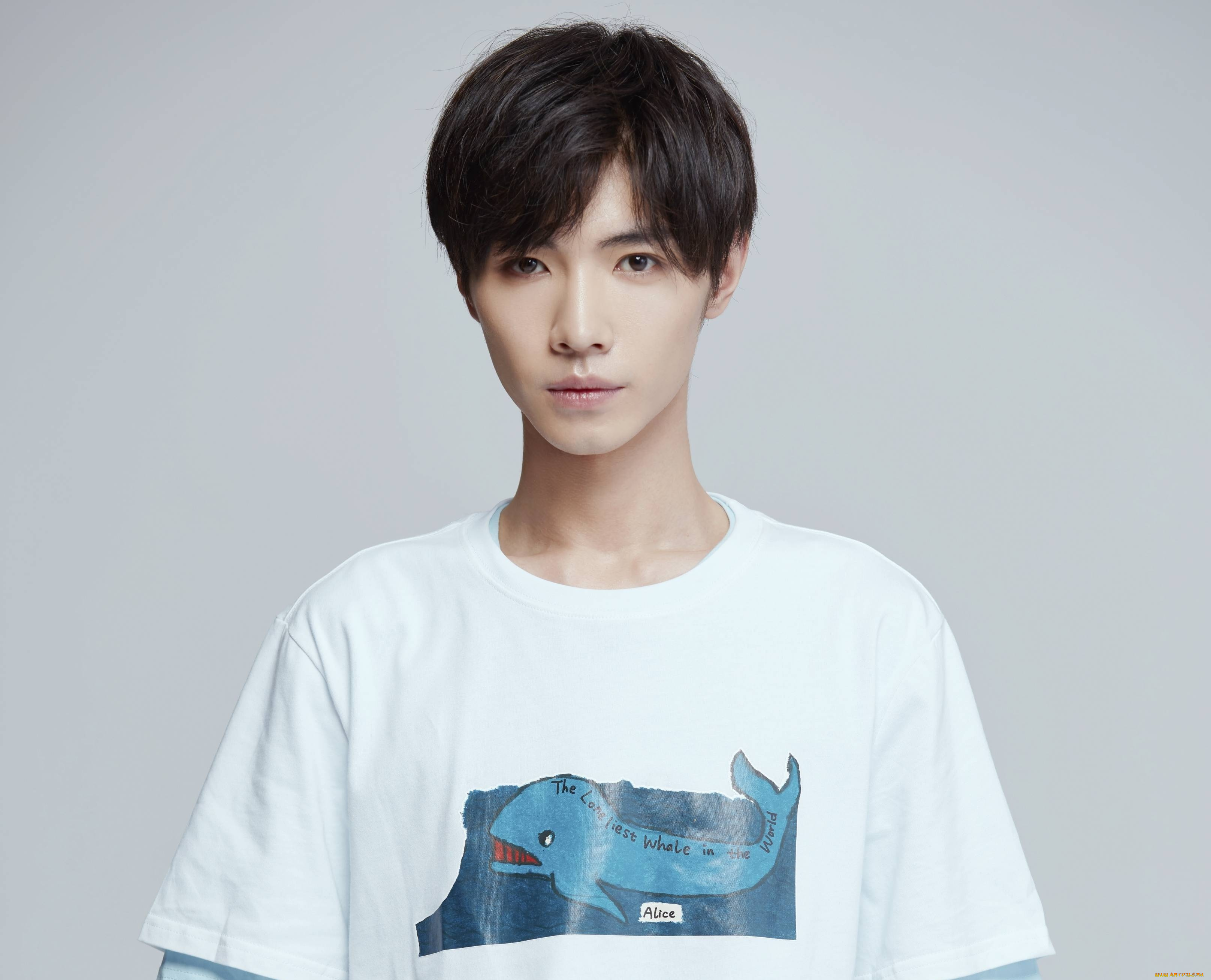 мужчины, song, ji, yang, сун, цзиян, китайский, актёр, певец