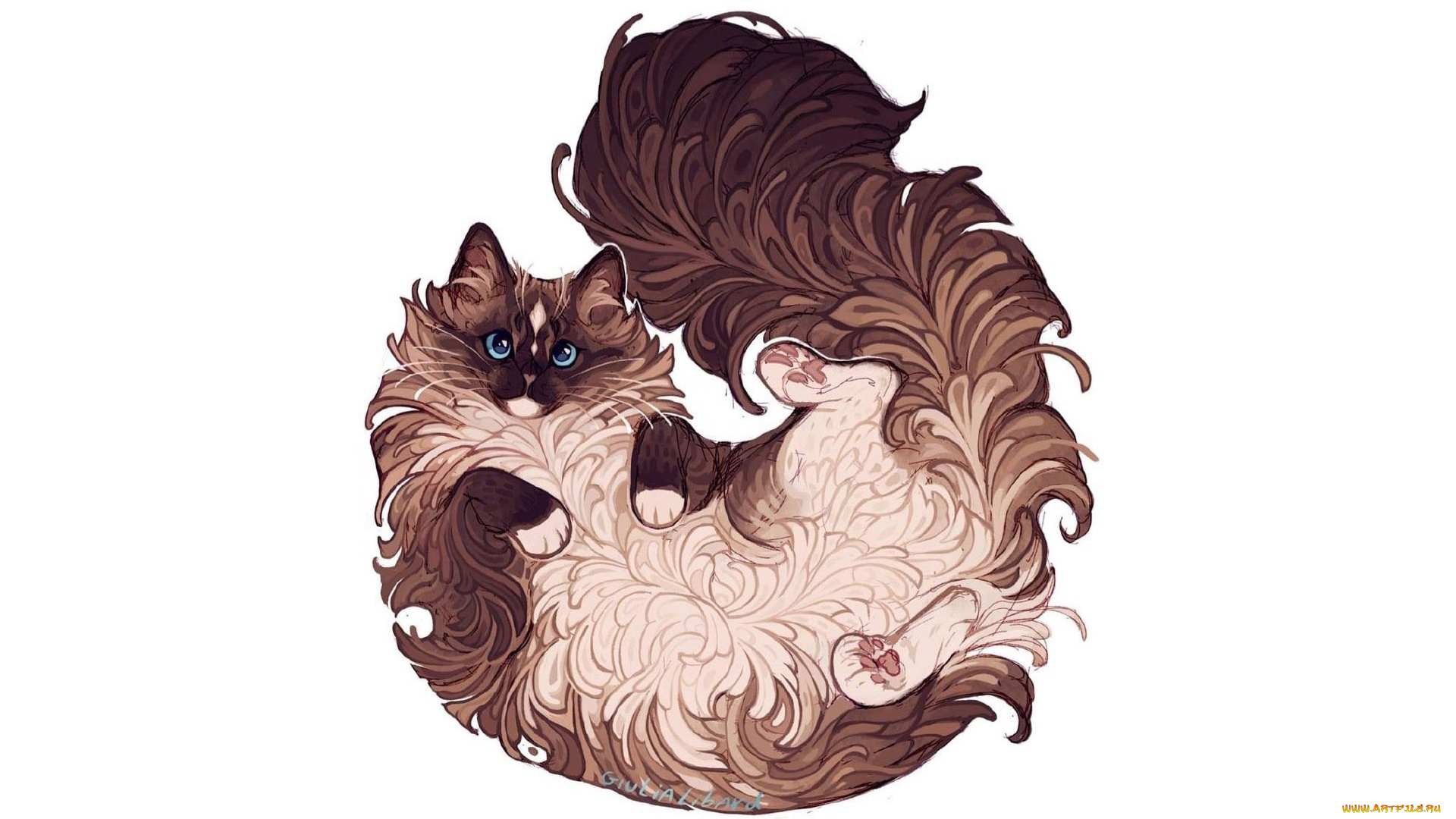 рисованное, животные, , коты, кот