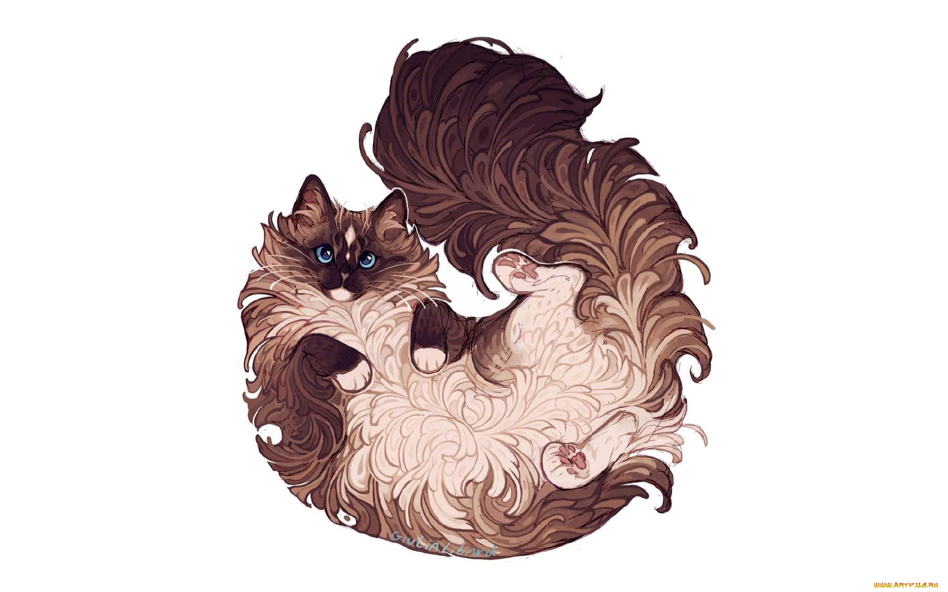 рисованное, животные, , коты, кот