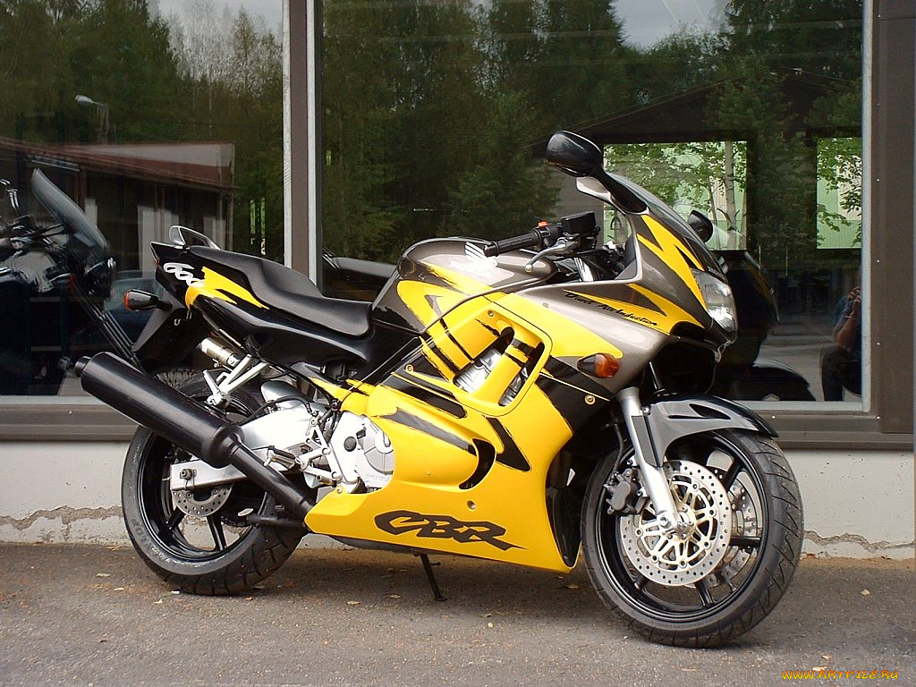 honda, cbr, 600, мотоциклы