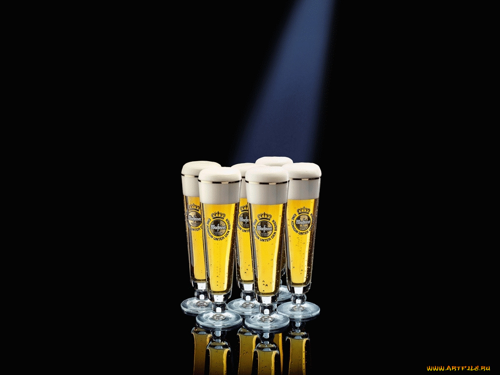 пивко, это, хорошо, бренды, warsteiner