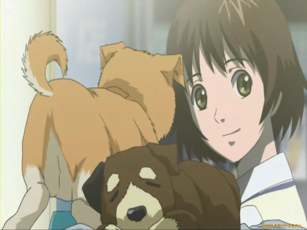 аниме, zegapain