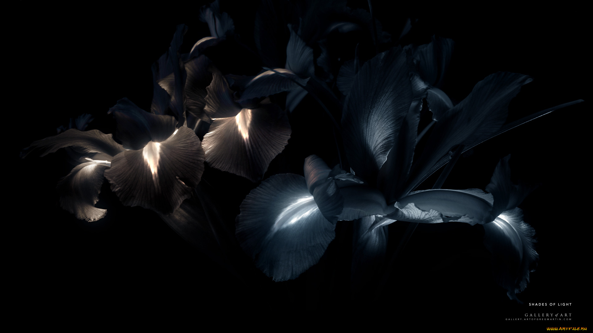 3д, графика, abstract, абстракции