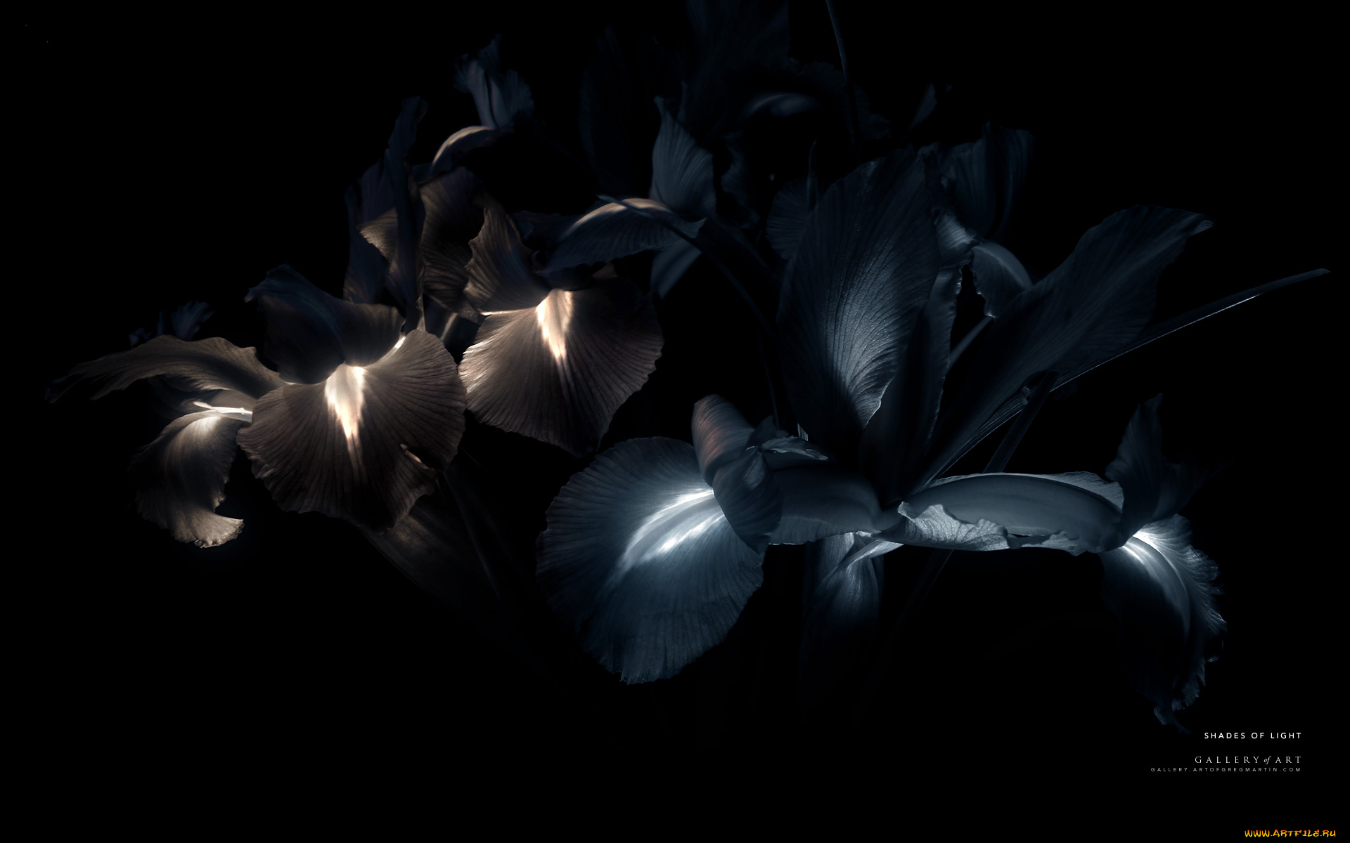 3д, графика, abstract, абстракции