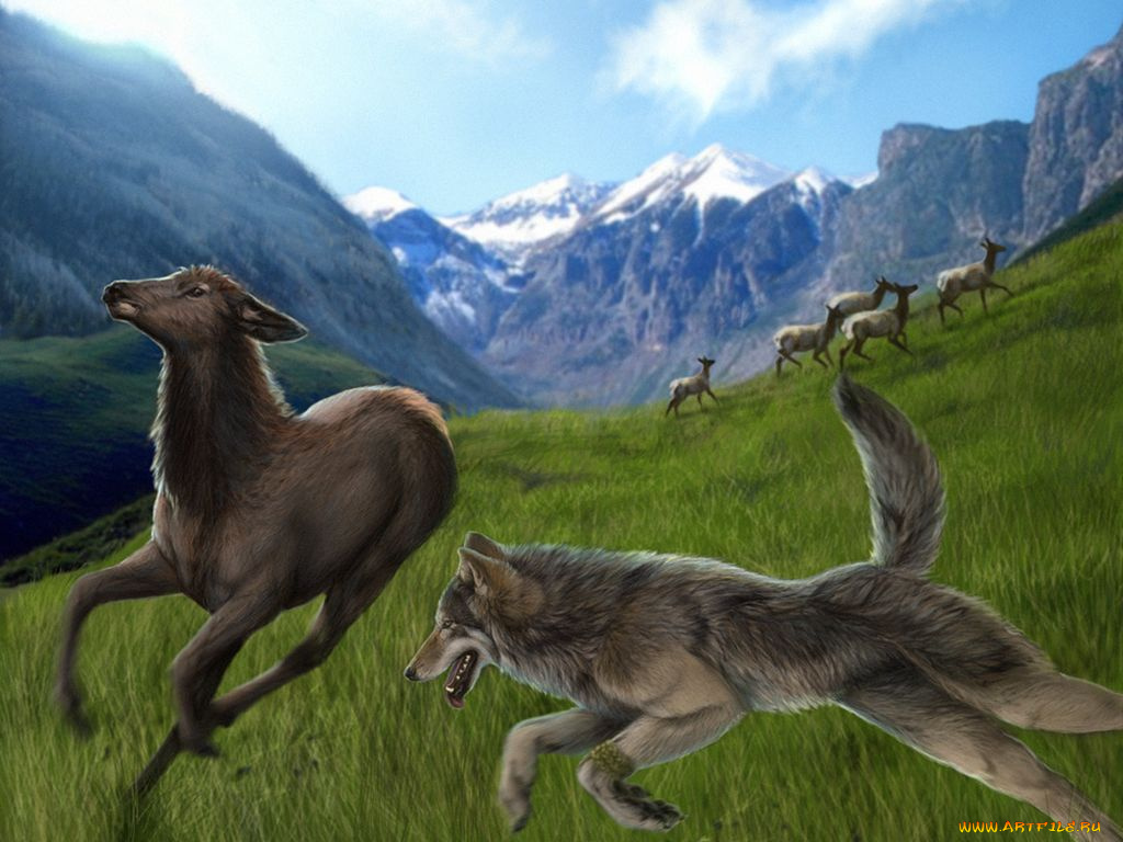 рисованные, животные