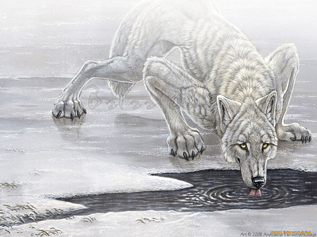 рисованные, животные