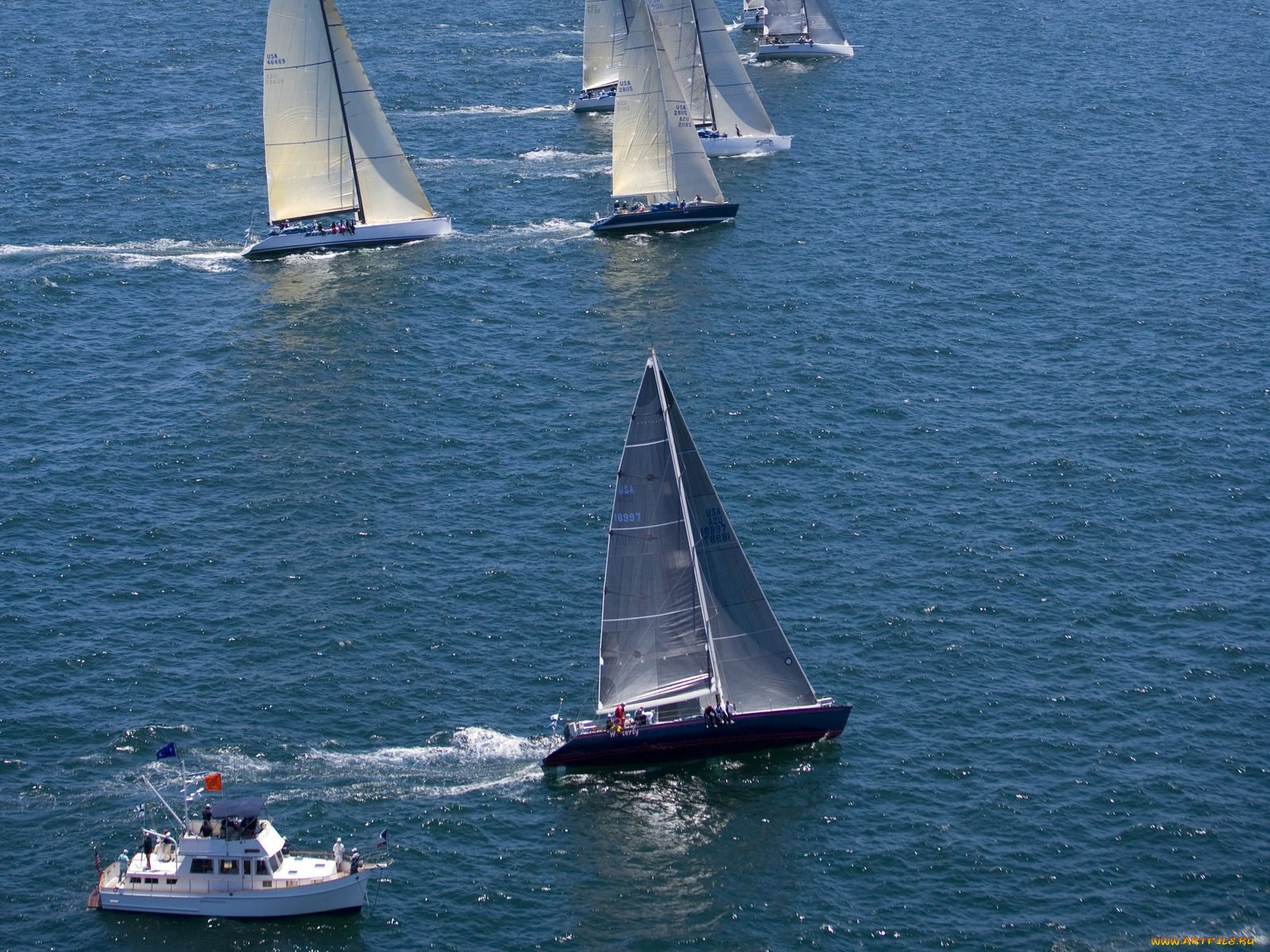 корабли, Яхты