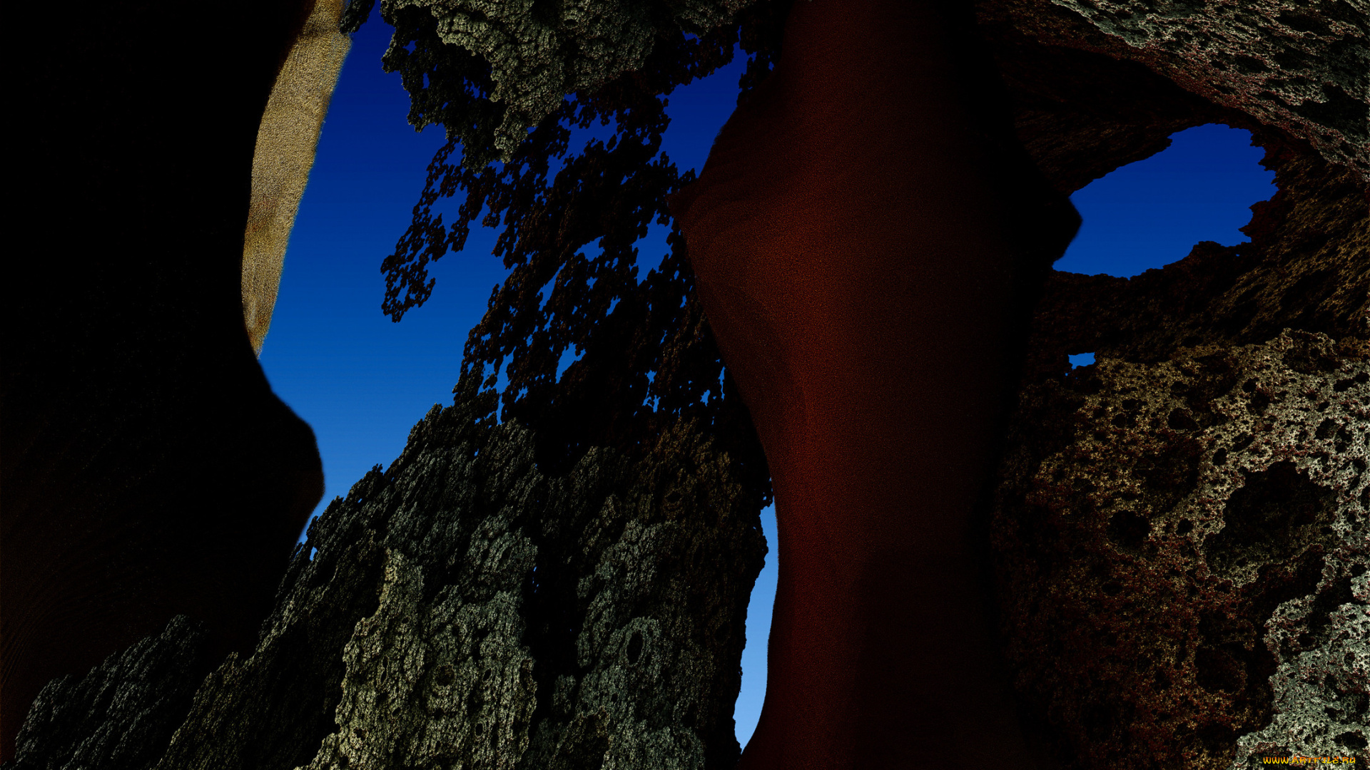 3д, графика, fractal, фракталы, гграфика, фон, узор