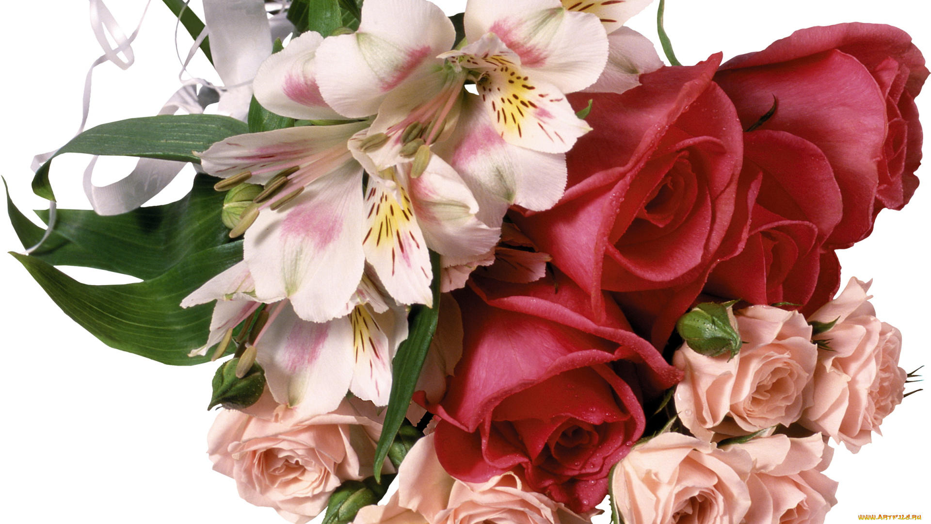 цветы, букеты, композиции, бант, розы, альстромерия