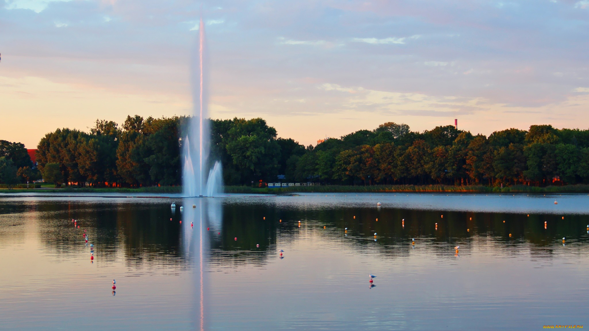 города, фонтаны, познань