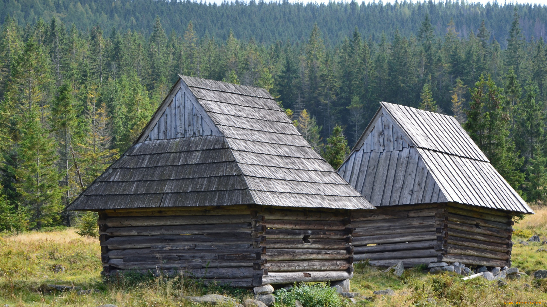 разное, сооружения, постройки, домики, лес