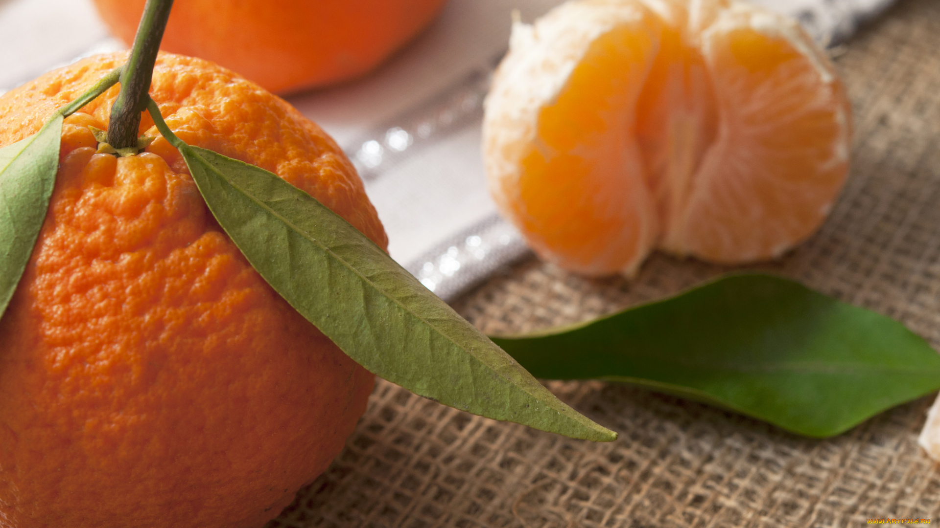 еда, цитрусы, мандарин