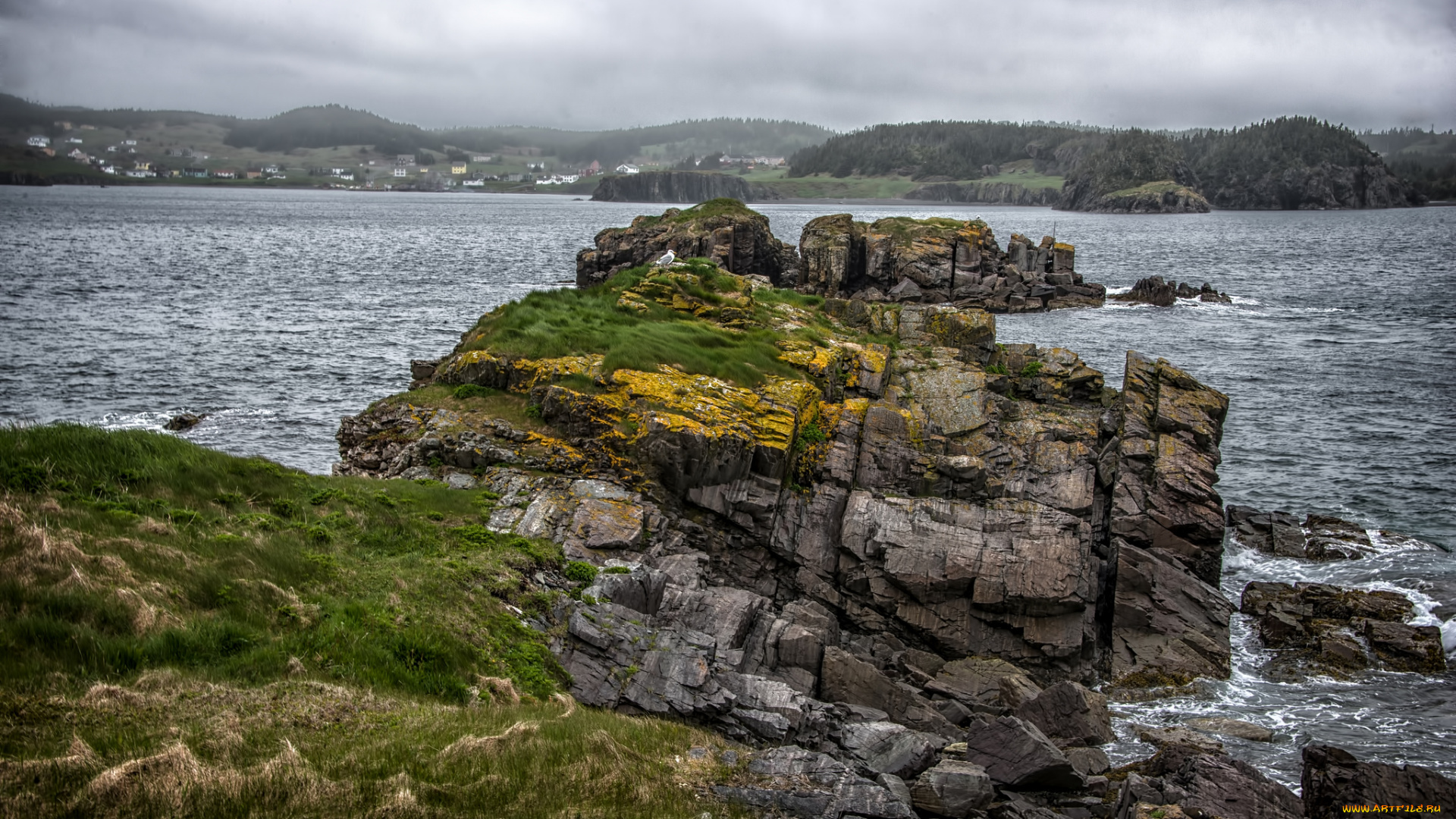 fort, point, lighthouse, , trinity, bay, , newfoundland, природа, побережье, мыс, скалы, океан, пролив