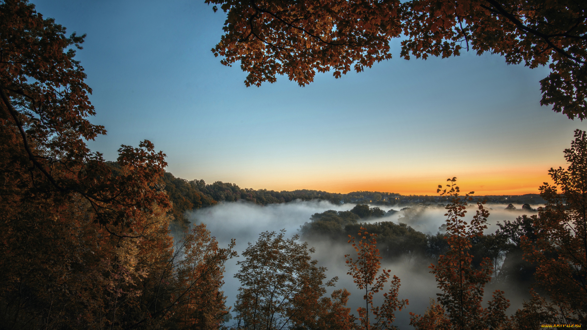 homer, watson, park, sunrise, , kitchener, ontario, природа, пейзажи, панорама, туман, лес