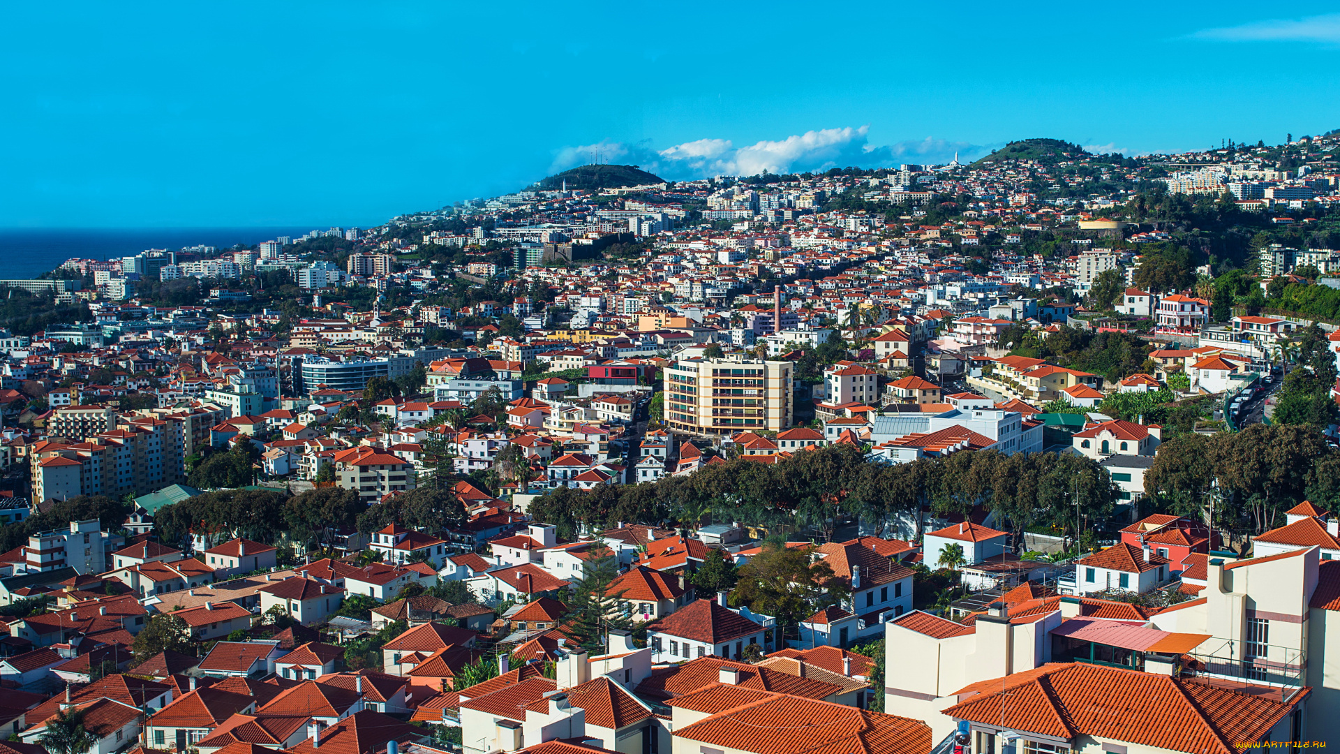 мадейра, португалия, города, -, панорамы, панорама, море, мадейра, дома, португалия