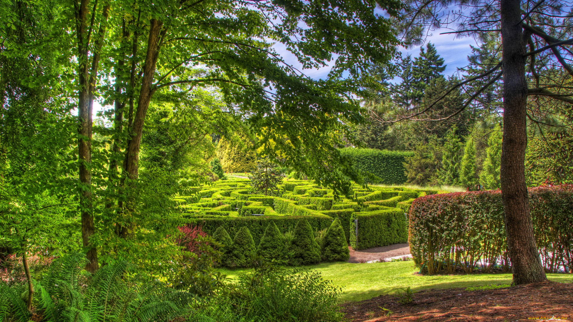 vandusen, botanical, garden, , vancouver, , канада, природа, парк, канада, vancouver, garden, botanical, vandusen, деревья, кусты, сад