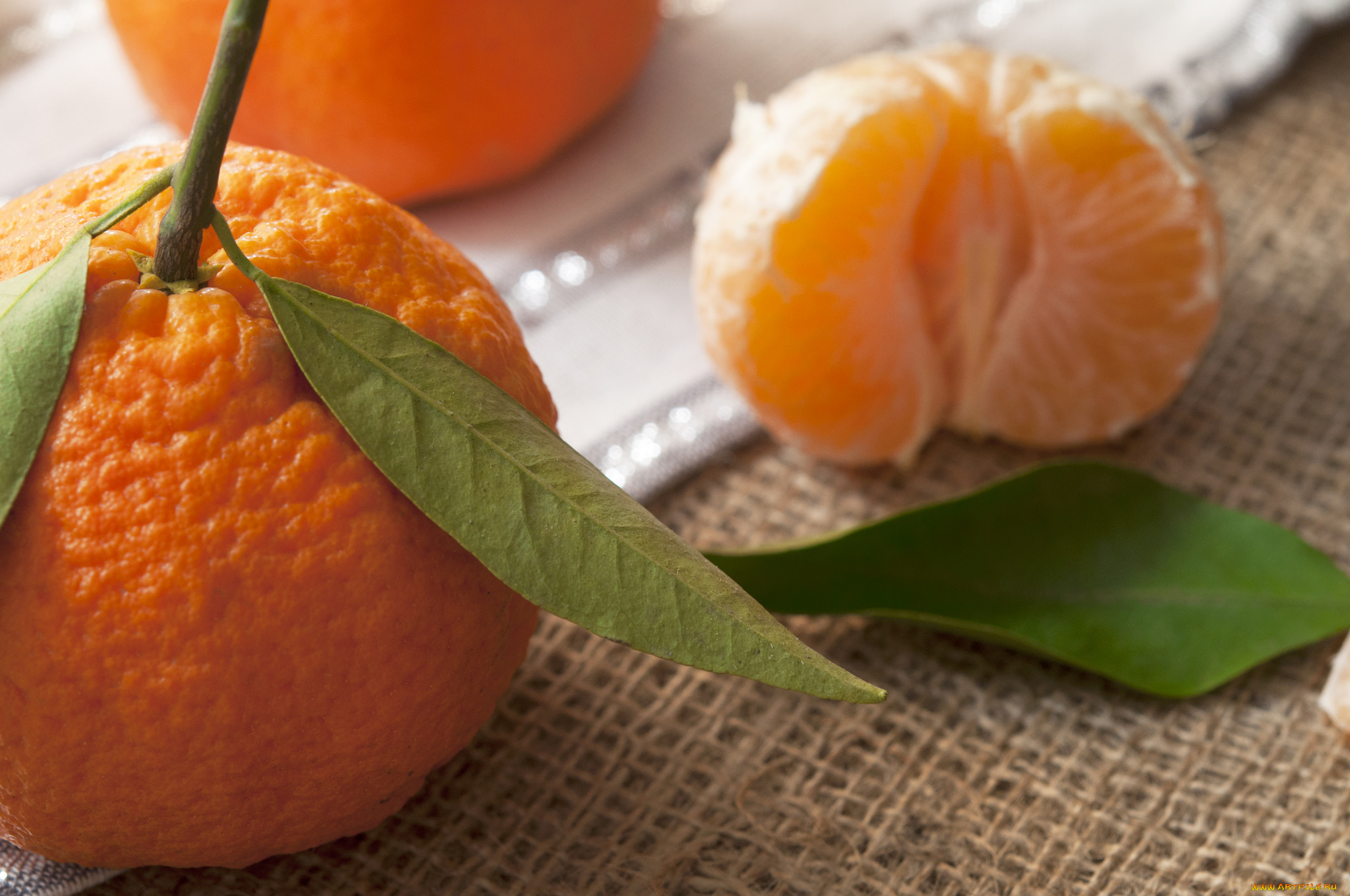 еда, цитрусы, мандарин