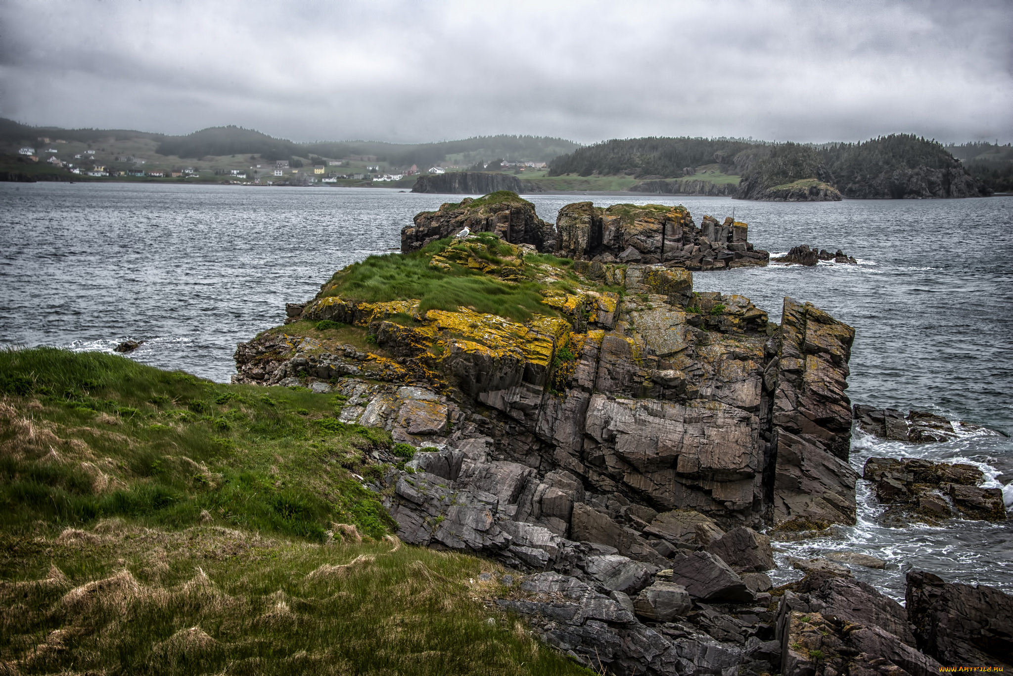 fort, point, lighthouse, , trinity, bay, , newfoundland, природа, побережье, мыс, скалы, океан, пролив