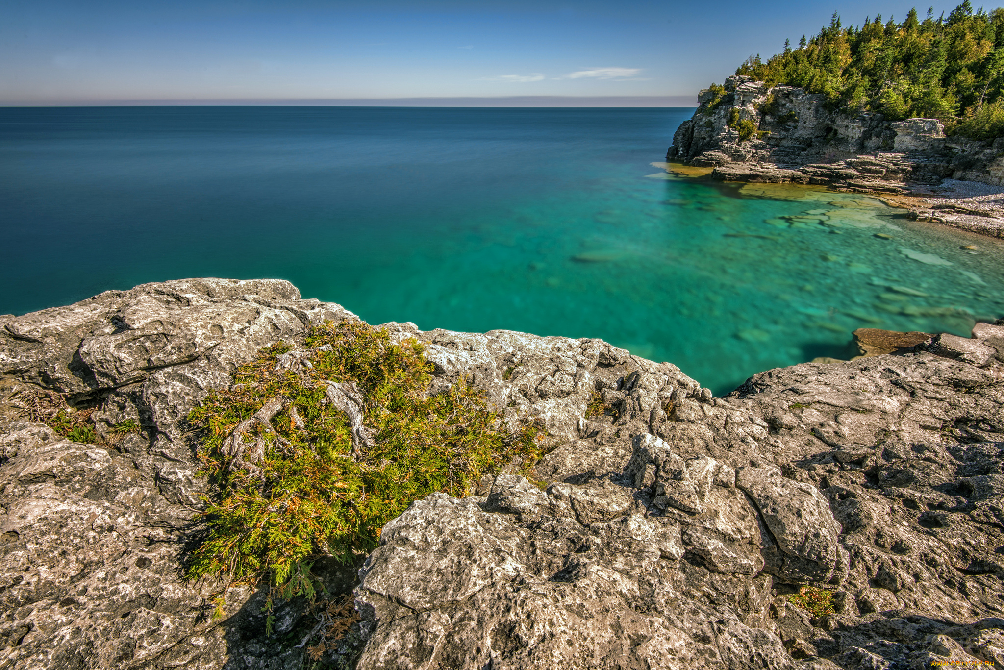 indian, head, cove, , bruce, peninsula, provincial, park, природа, побережье, горизонт, лес, скалы, бухта, океан