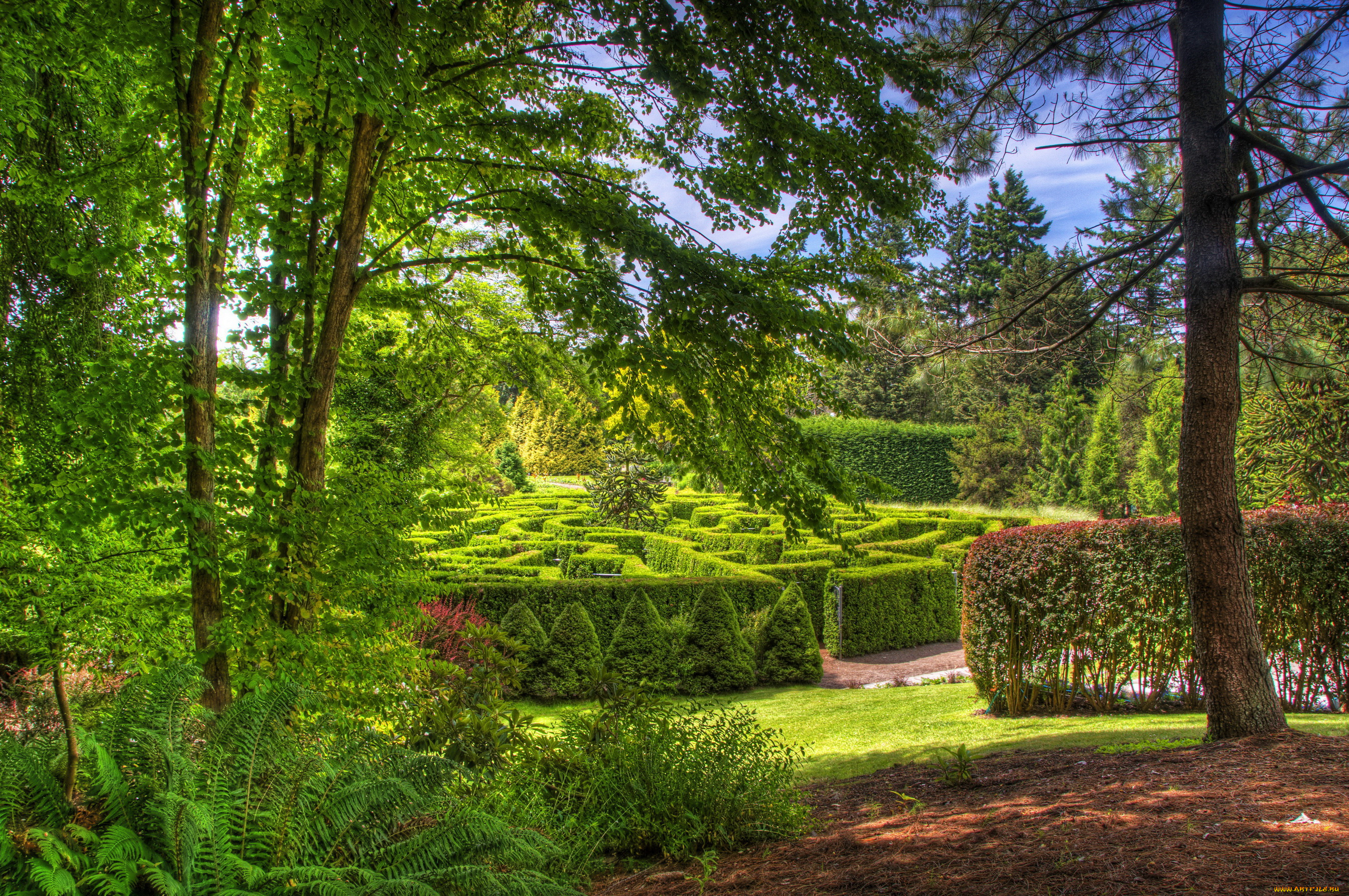 vandusen, botanical, garden, , vancouver, , канада, природа, парк, канада, vancouver, garden, botanical, vandusen, деревья, кусты, сад