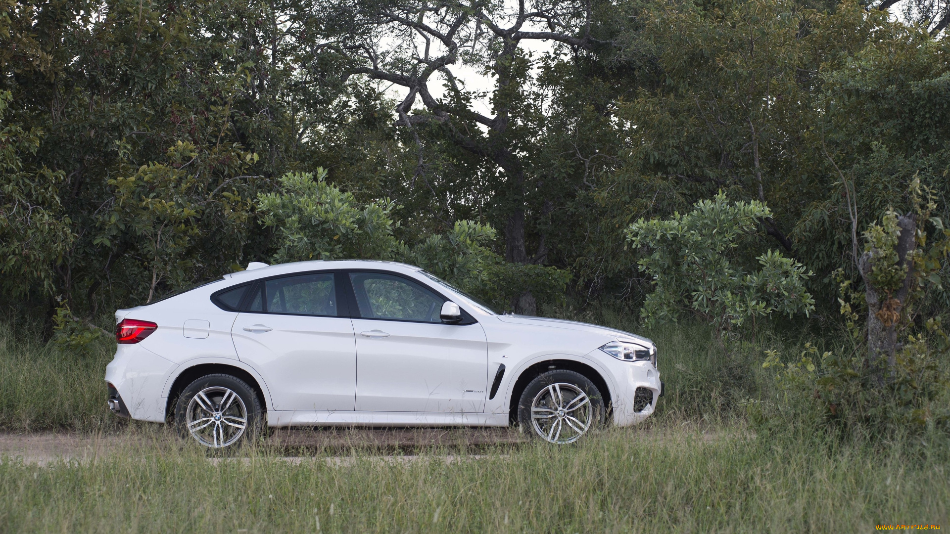 автомобили, bmw, sport, xdrive50i, m, x6, светлый, 2015г, f16, za-spec, package