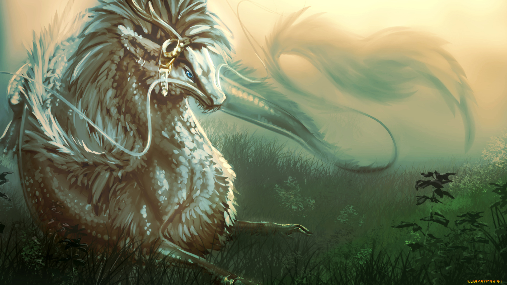 фэнтези, драконы, азиатский, усы, трава, дракон, арт