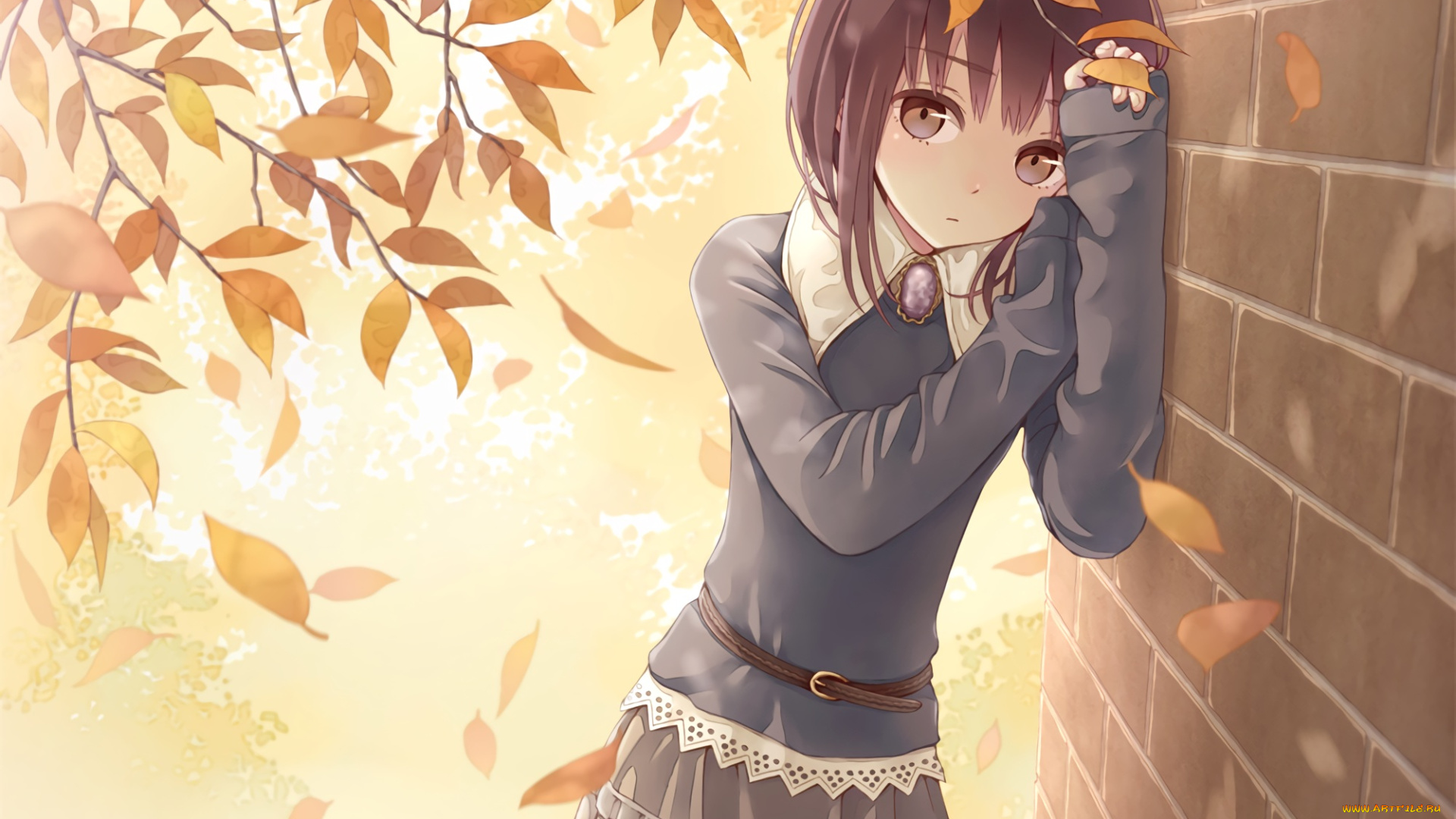 аниме, unknown, , другое, tokumaru