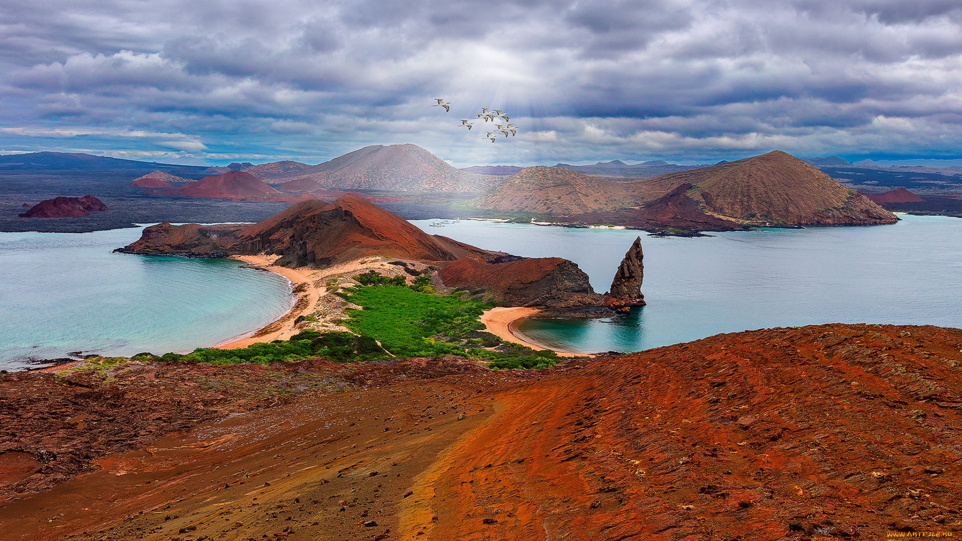 природа, побережье, берег, море