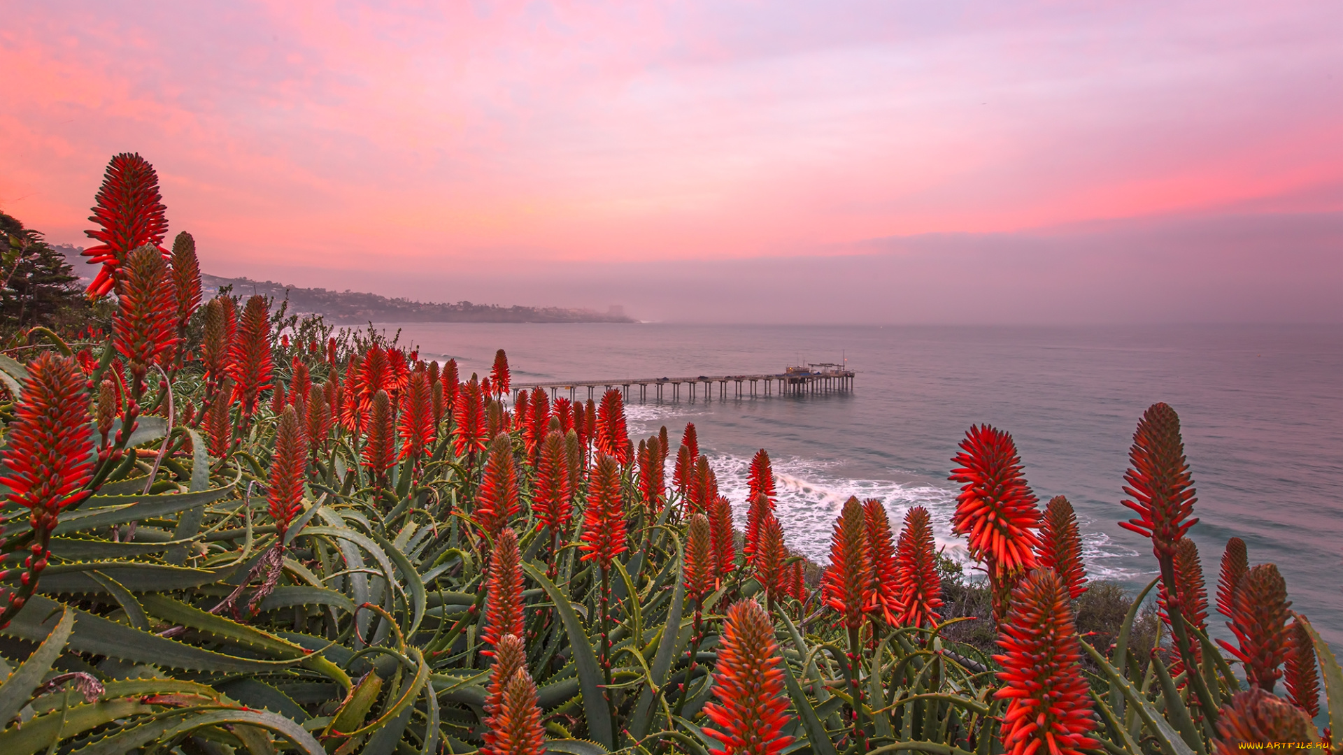 природа, побережье, берег, море