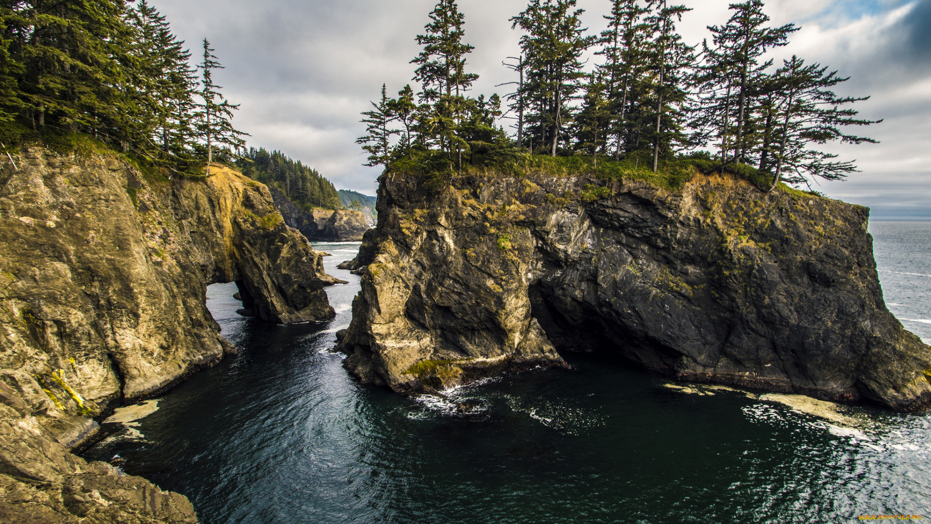 природа, побережье, море, берег