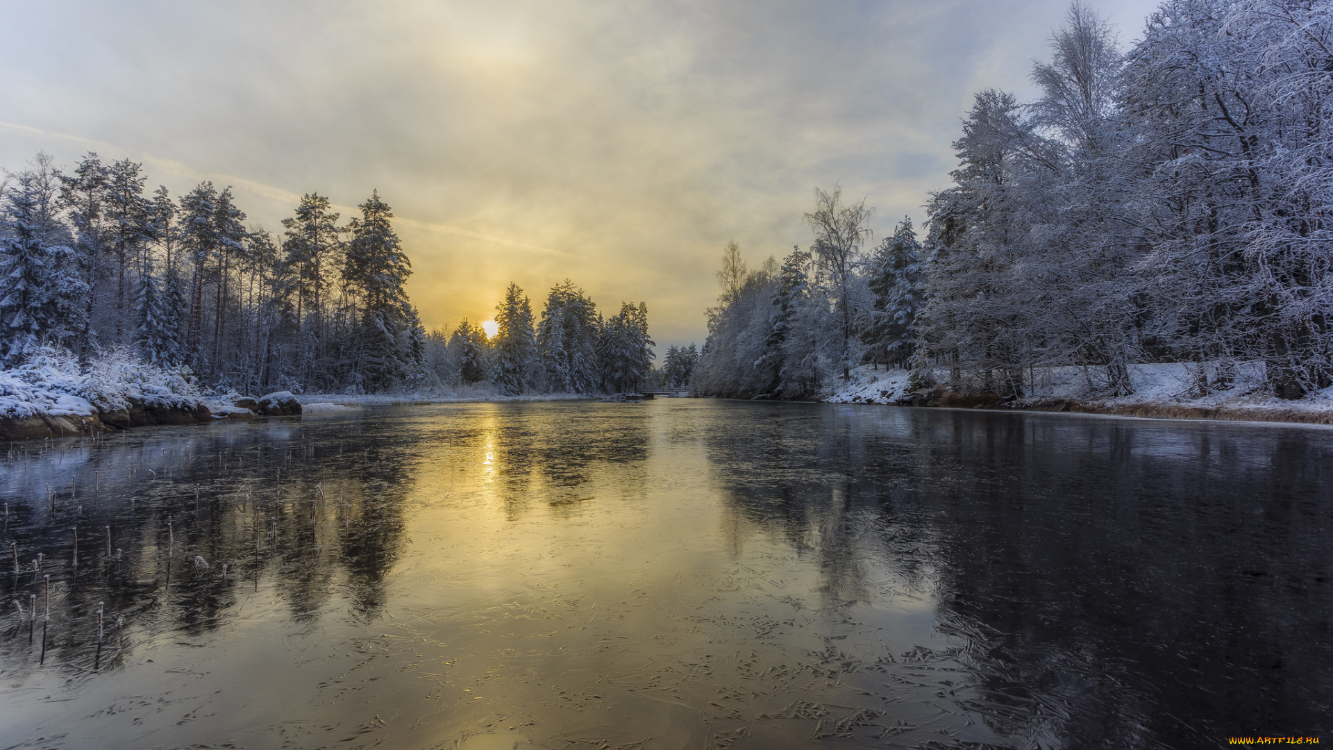 природа, реки, озера, лес, река