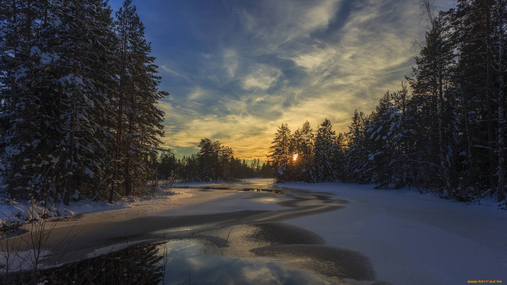 природа, реки, озера, река, лес