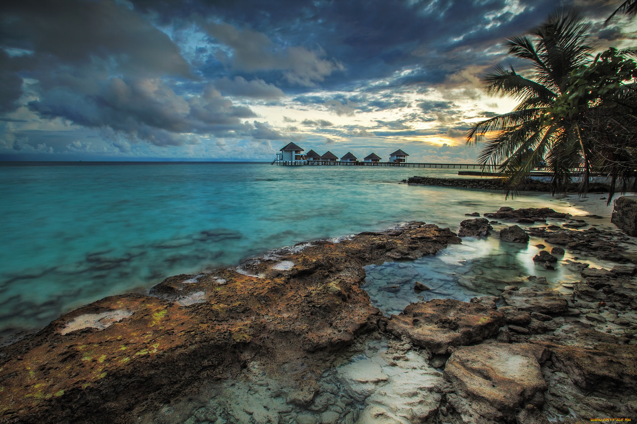 природа, тропики, пальмы, побережье