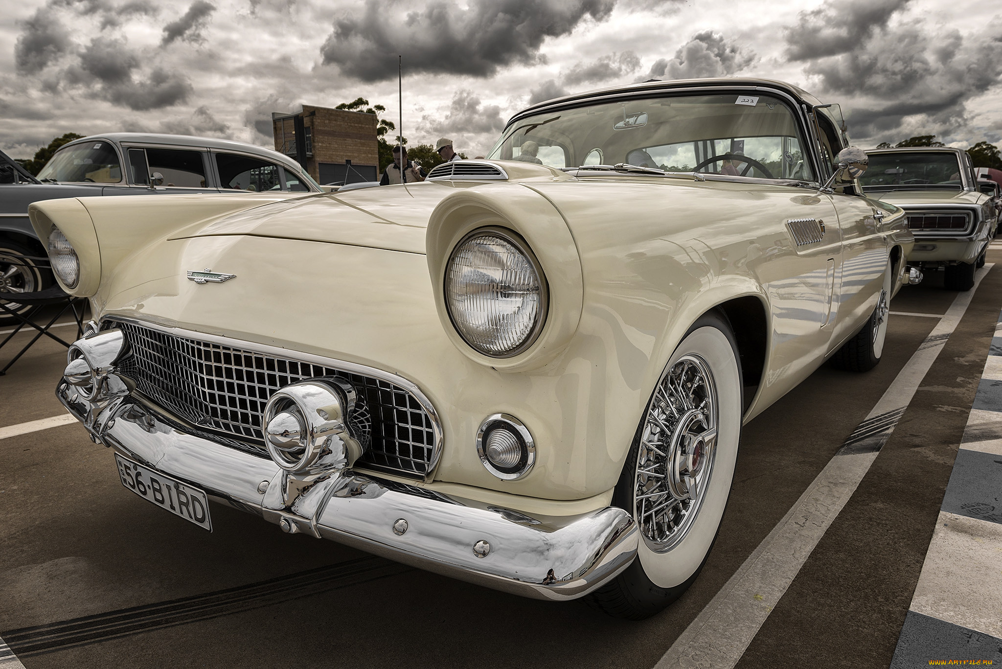 автомобили, выставки, и, уличные, фото, автошоу