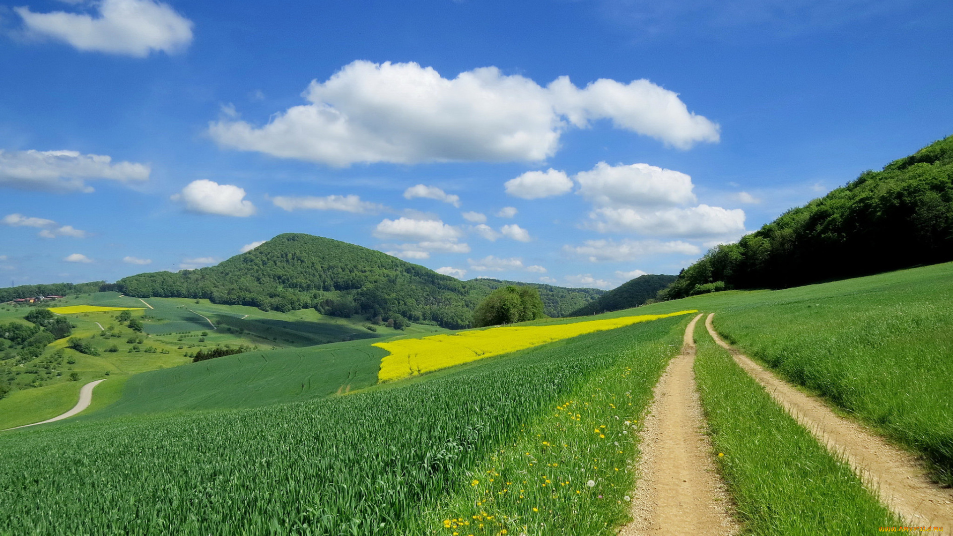 природа, дороги, облака, поле, холмы, лес