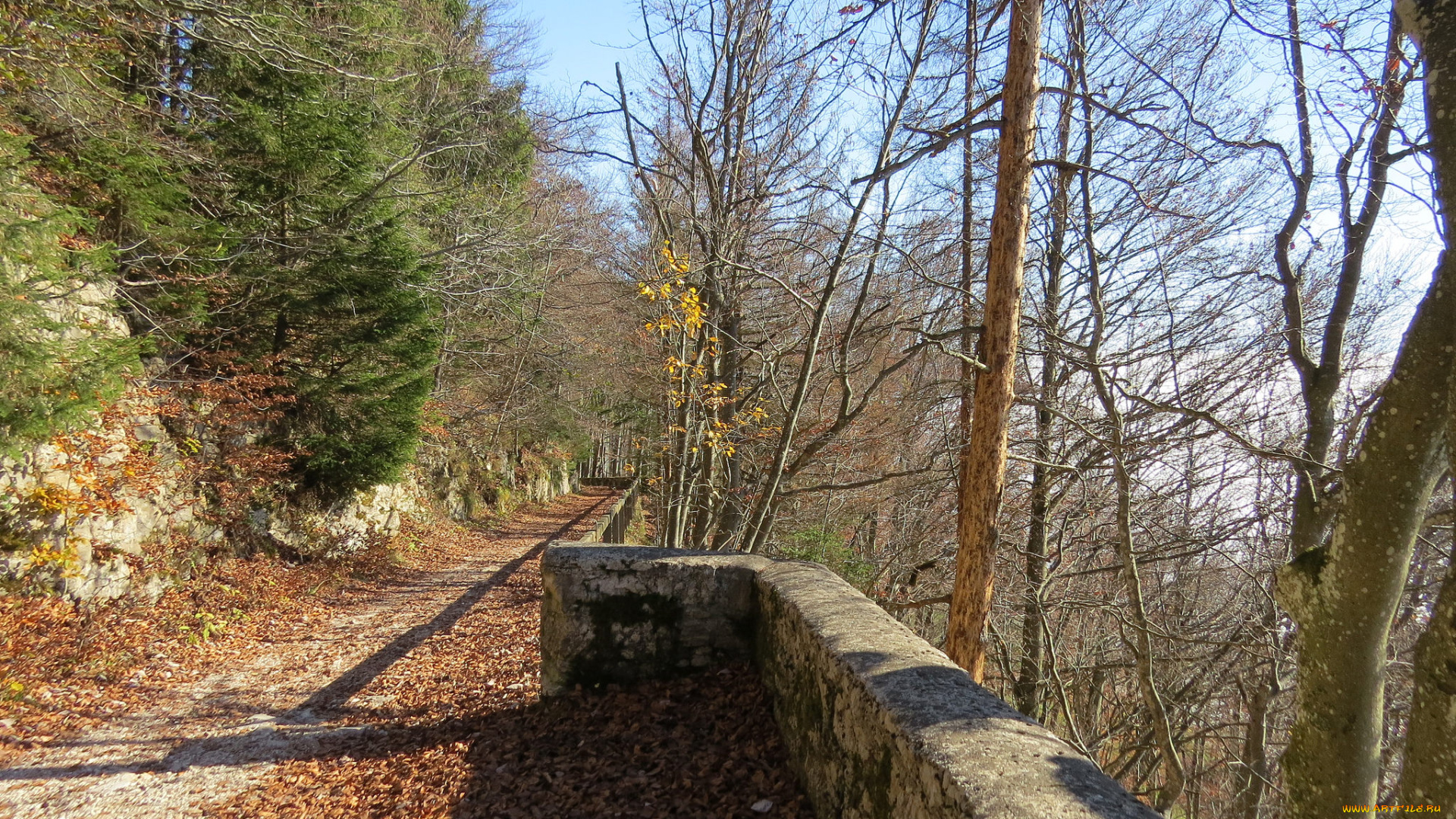 природа, дороги, осень, лес