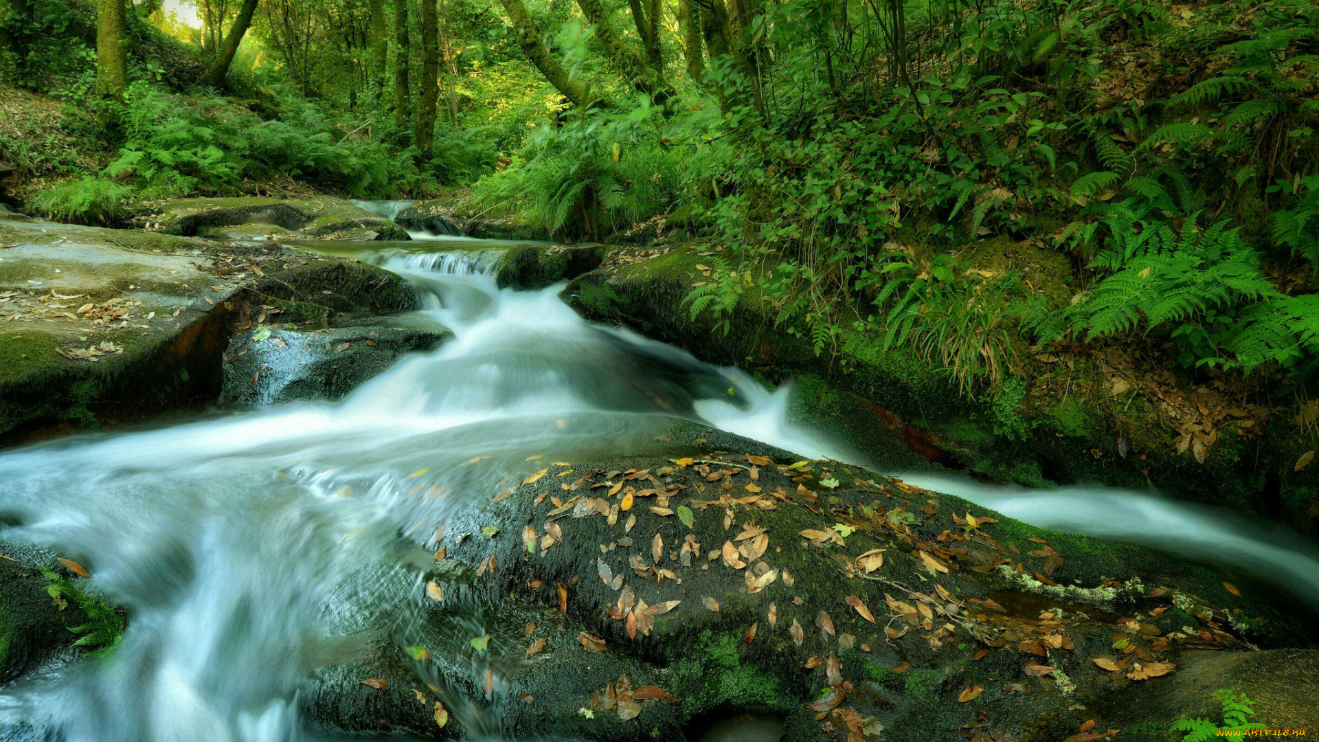 природа, реки, озера, деревья, водопад, речка