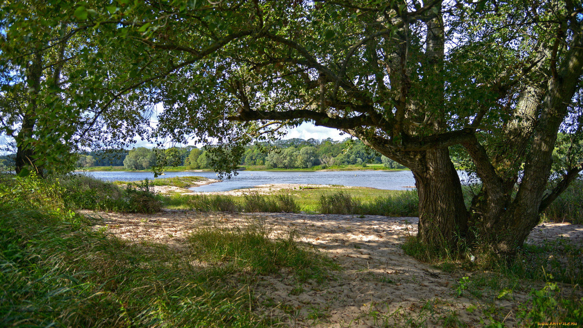 природа, реки, озера, река, лес