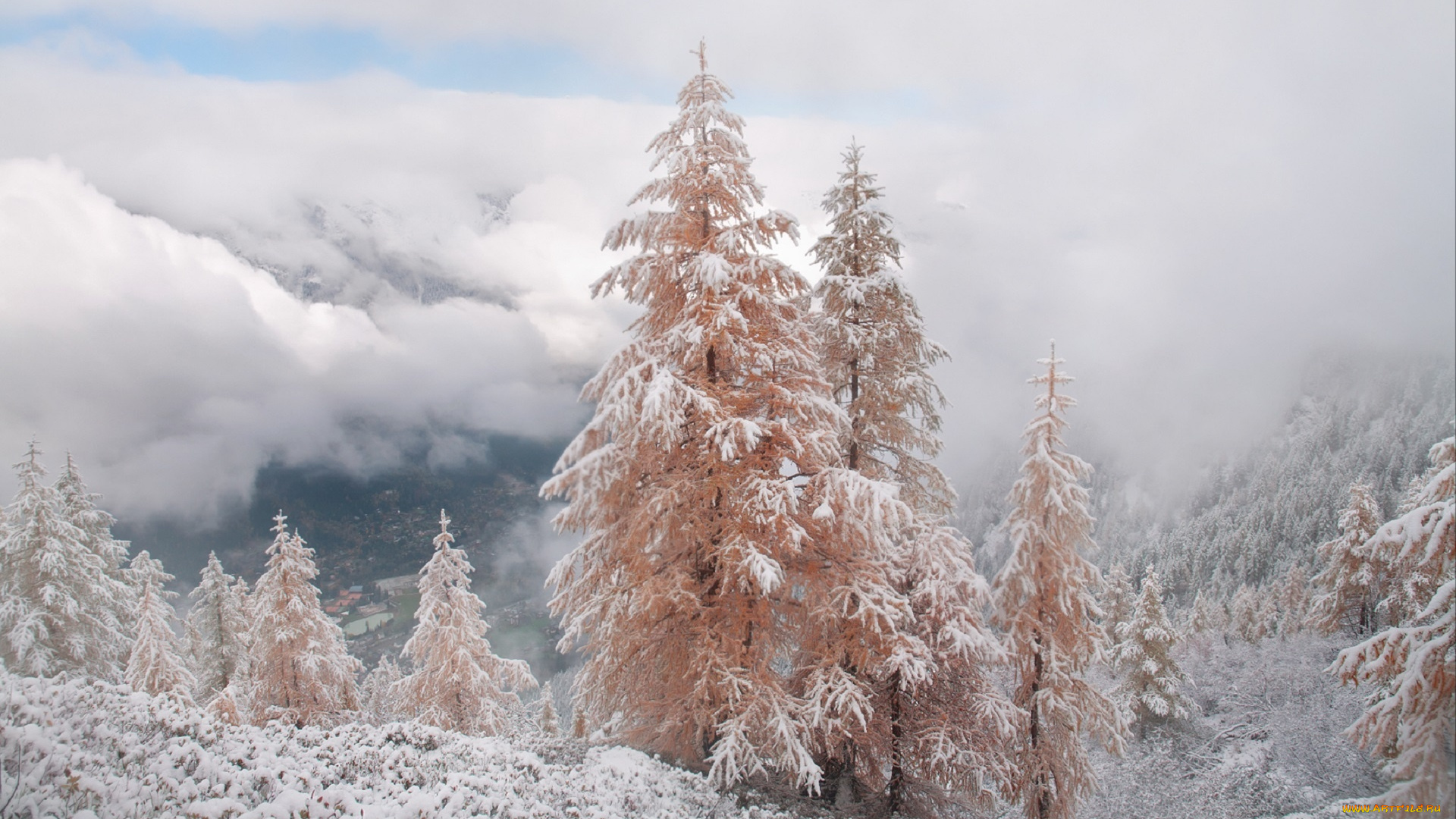 природа, зима, небо, горы, михалюк, сергей, долина, облака, снег, розовые, ели