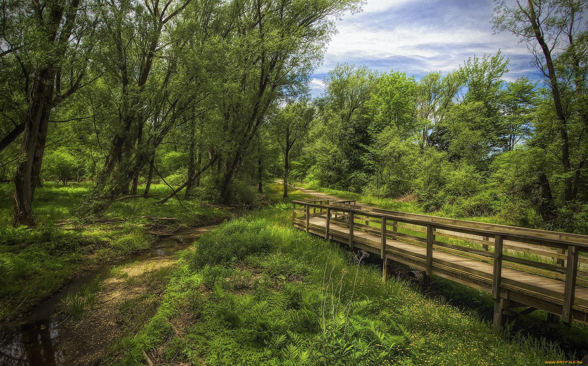 природа, дороги, тракт