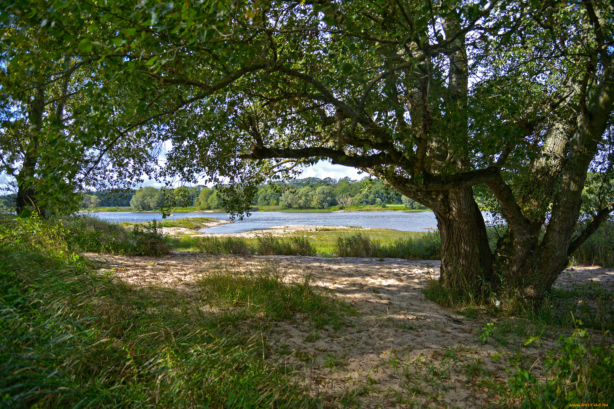 природа, реки, озера, река, лес