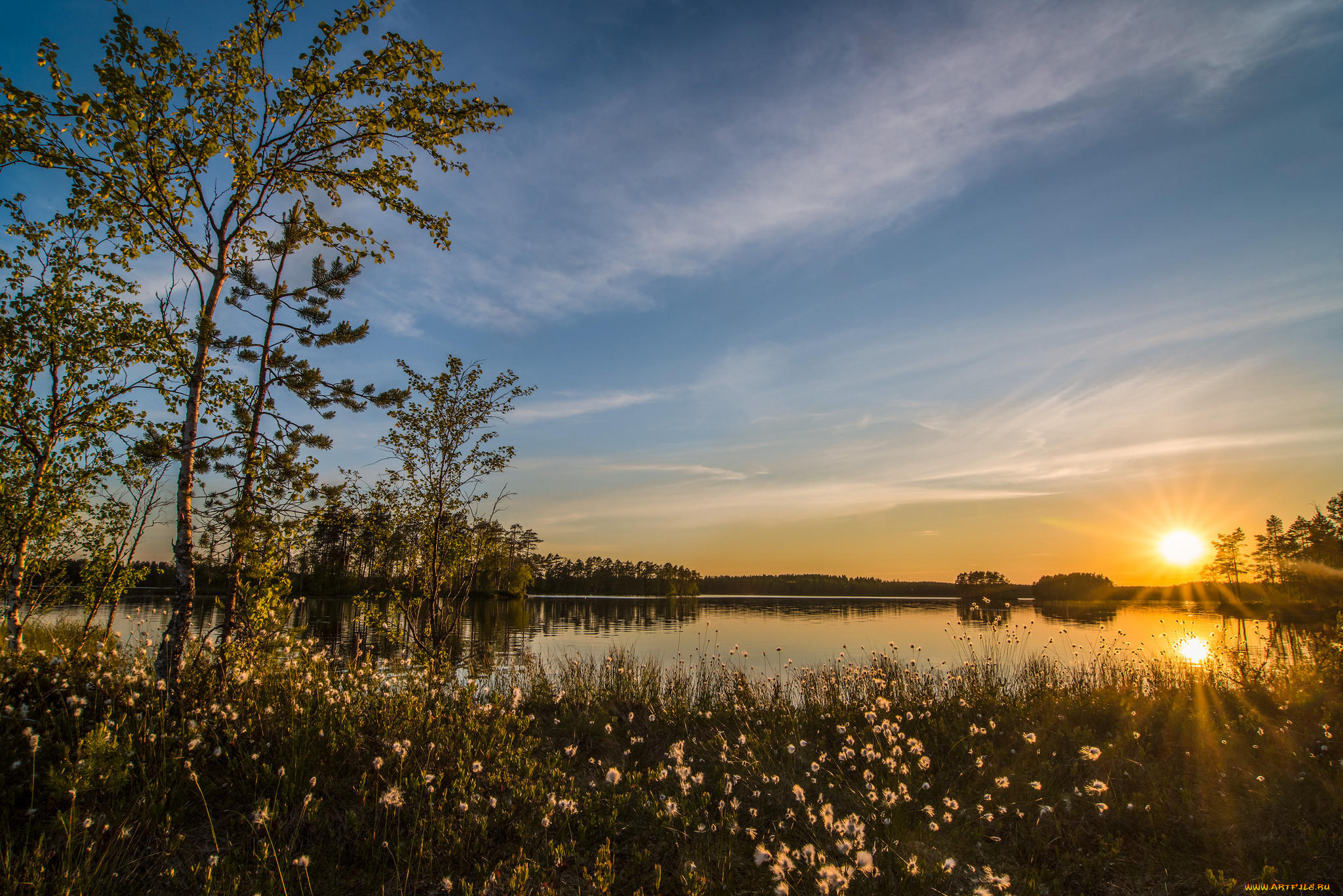 природа, восходы, закаты, закат, пейзаж, деревья, озеро